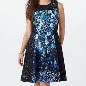 Roz & Ali Dress Size 24 Knee Length Black Blue Floral Lace Overlay Back Zip